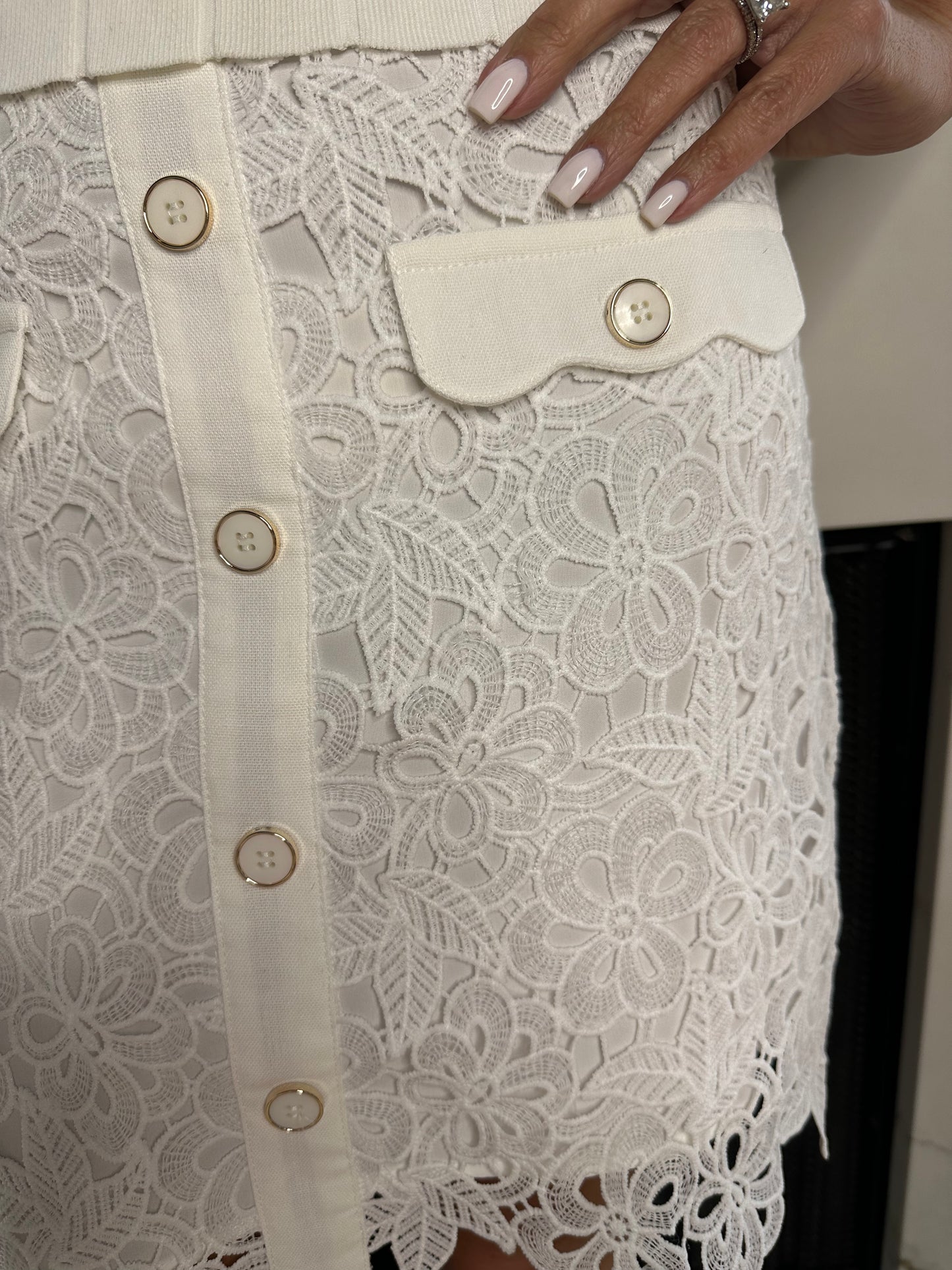 Luxury in Lace Skirt