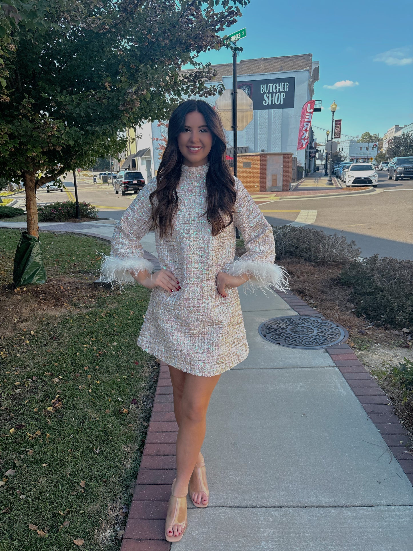 Manhattan Sparkle Tweed Dress