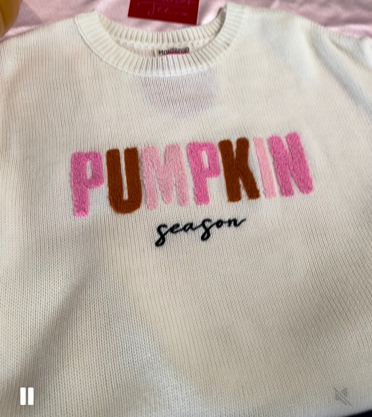 Pretty In Pumpkin Sweater