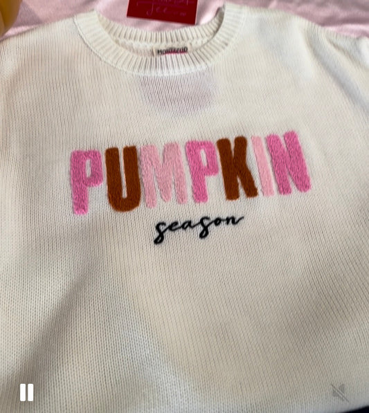 Pretty In Pumpkin Sweater