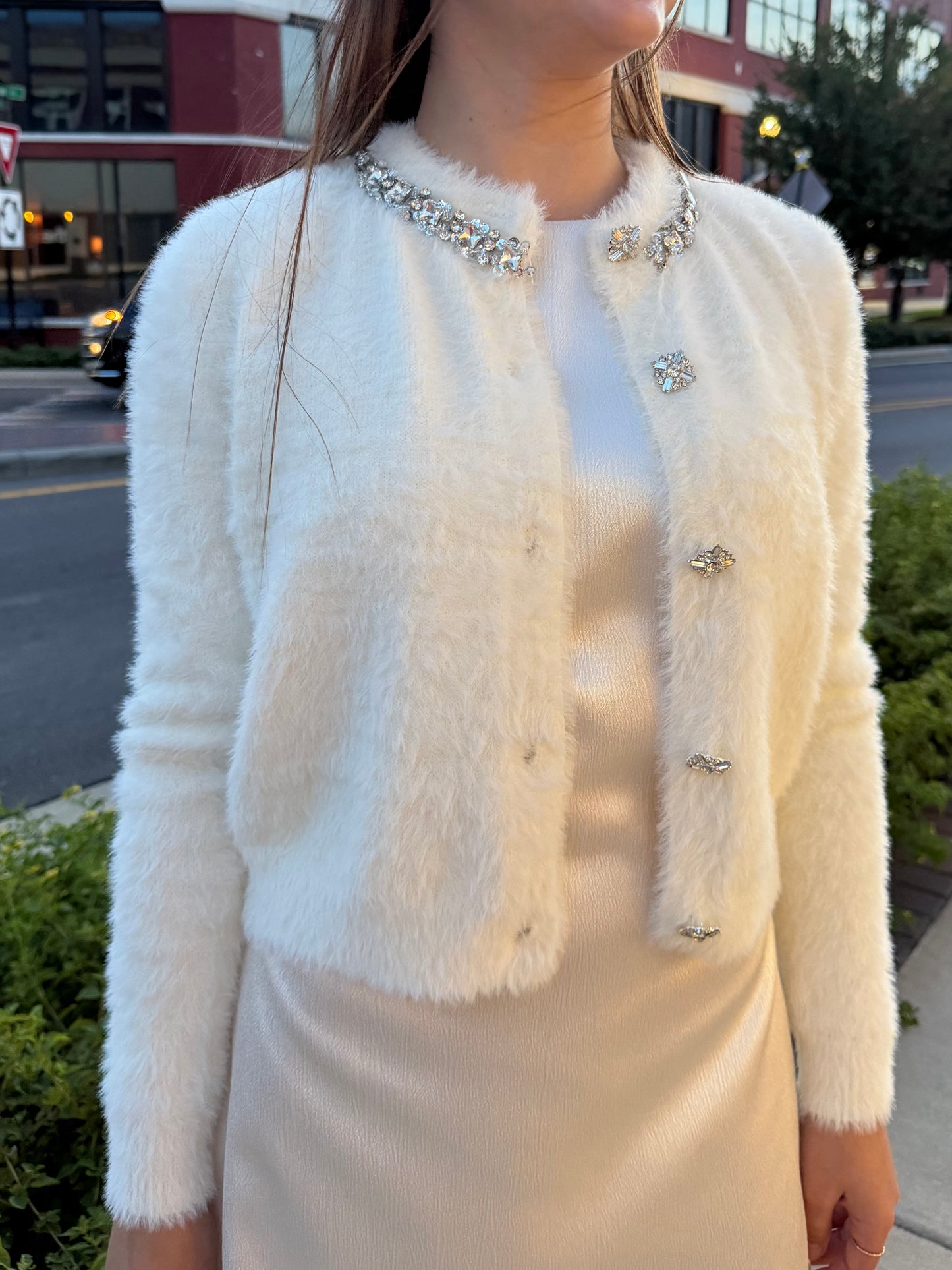 Snowfall Glam Cardigan