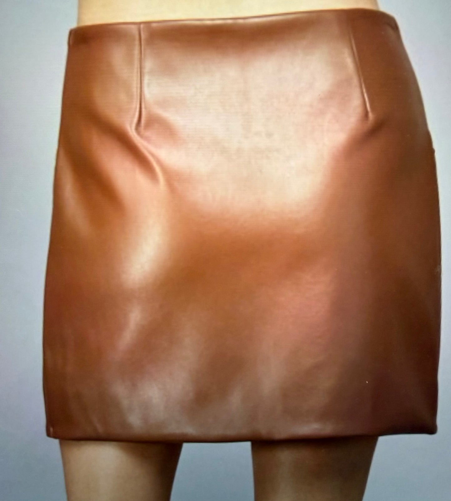 Clear The Runway Skirt