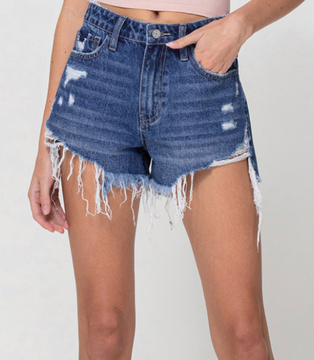 Worn in Well Destroyed Shorts