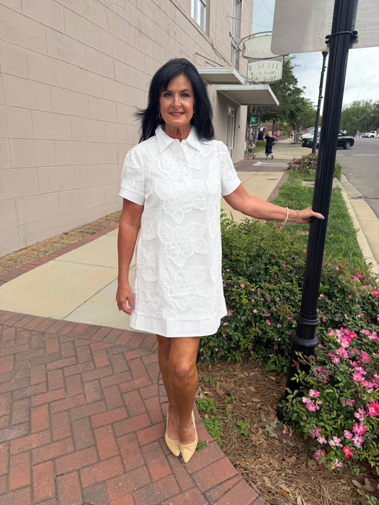 Darling Details Dress