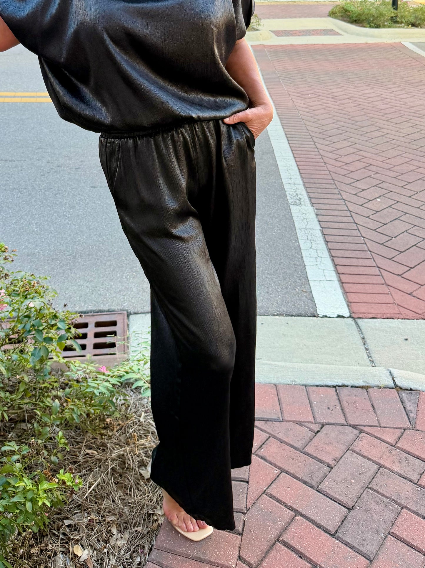 Sleek & Shimmery Pants