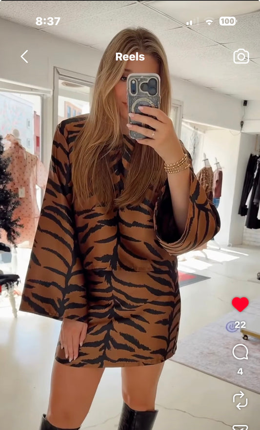 Chic Copper Zebra Top