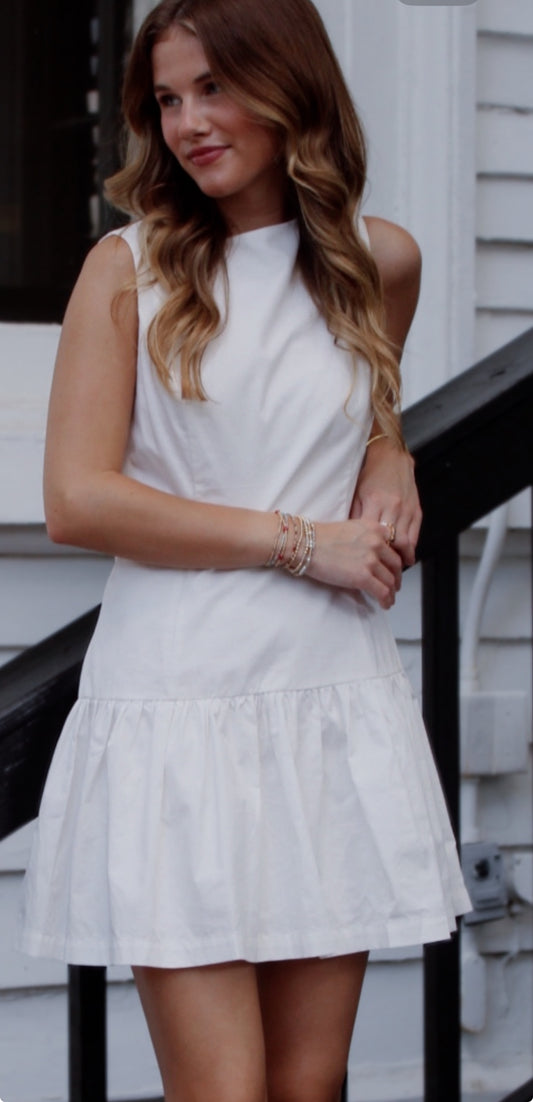 Classic and Cool Mini Dress