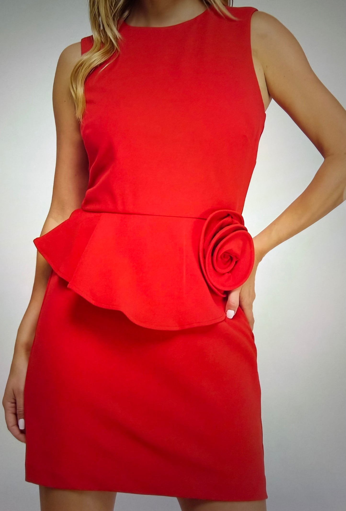 The TT Signature Dress